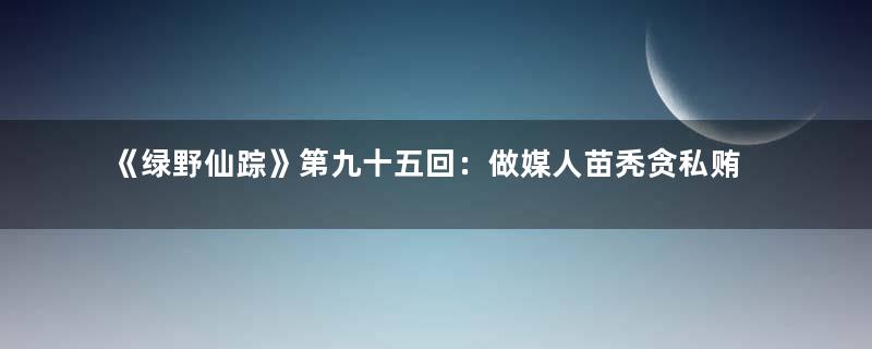 《绿野仙踪》第九十五回：做媒人苗秃贪私贿　娶孀妇如玉受官刑